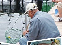 三重県の海上釣り堀｜貞丸